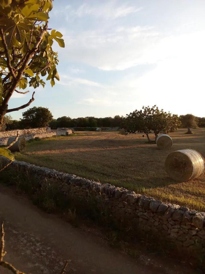 Masseria Fra Diavolo Guest House Castellana Grotte Luaran gambar