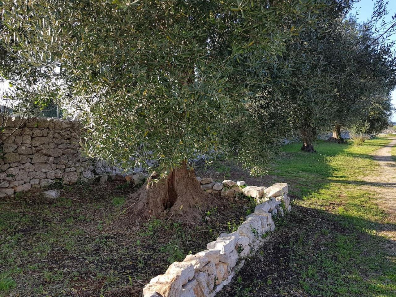 Masseria Fra Diavolo Guest House Castellana Grotte Luaran gambar