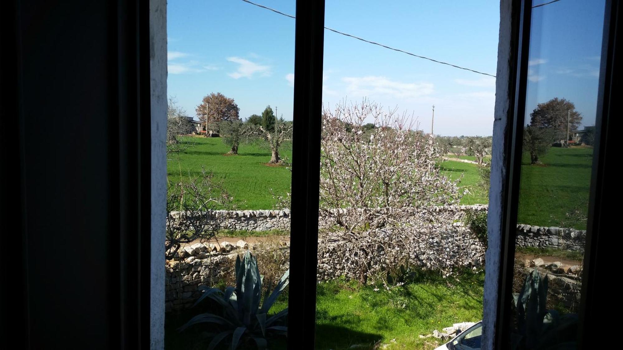 Masseria Fra Diavolo Guest House Castellana Grotte Luaran gambar